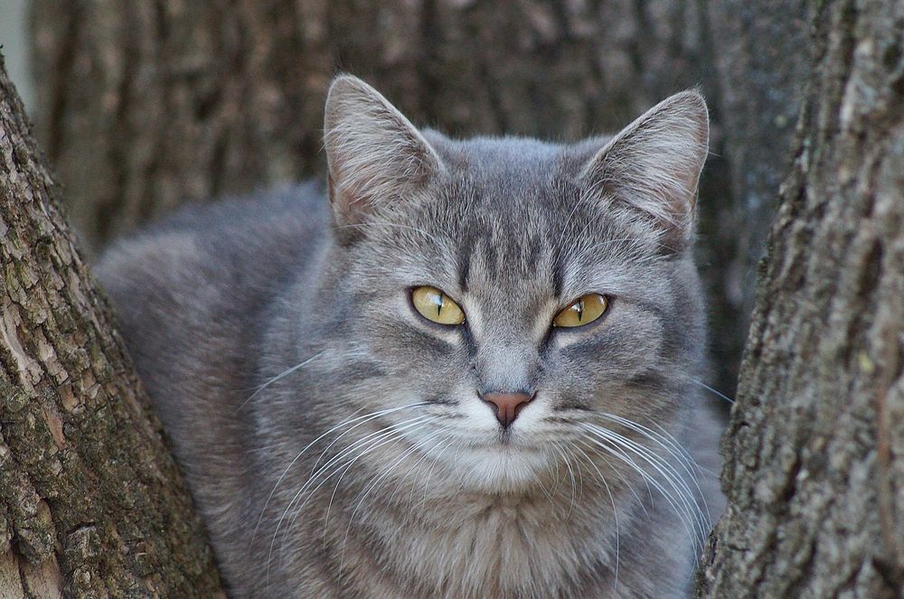 Photograph by Светлана Логинова