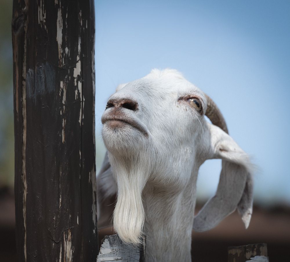 Photograph by Елена Март