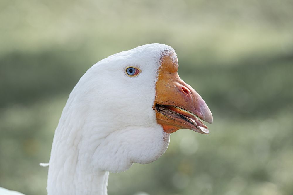 Photograph by Елена Март