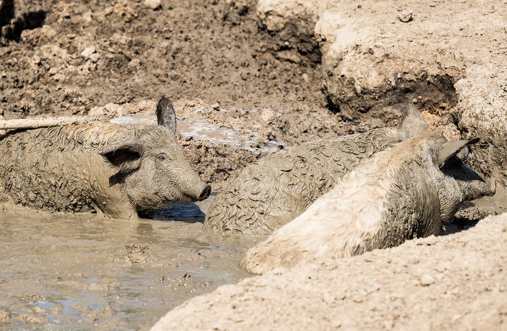 Photograph by Елена Март