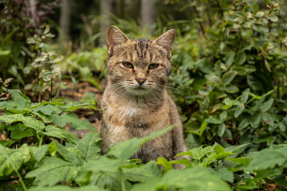 Photograph by Владимир