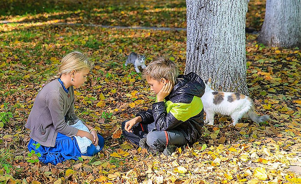 Как нам жить дальше