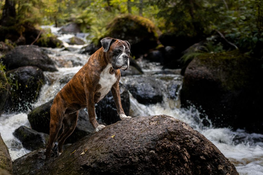 Photograph by Петракова Ольга