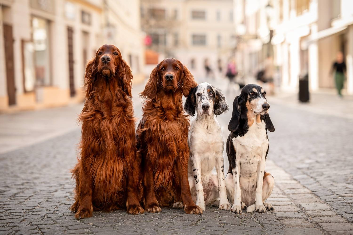 Фотография #12792326