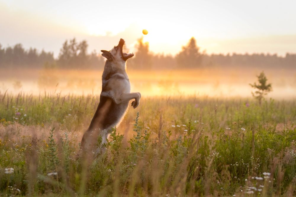 Photograph by Петракова Ольга