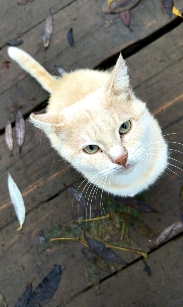 Photograph by Александра Чижова