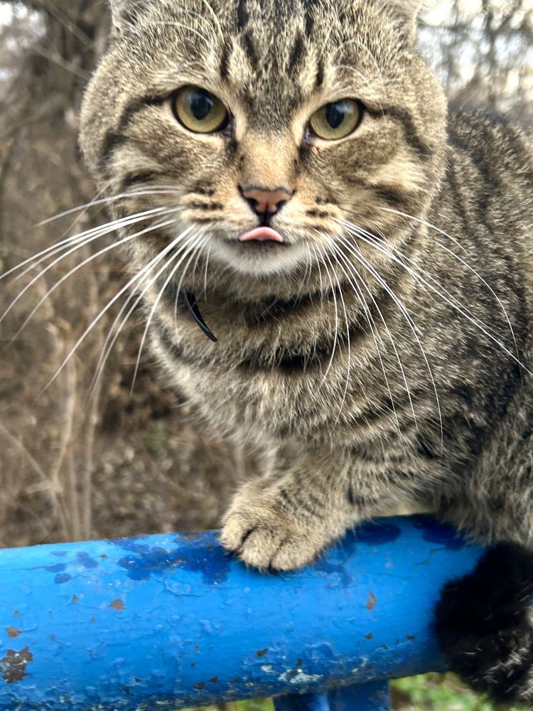 Photograph by Александра Чижова