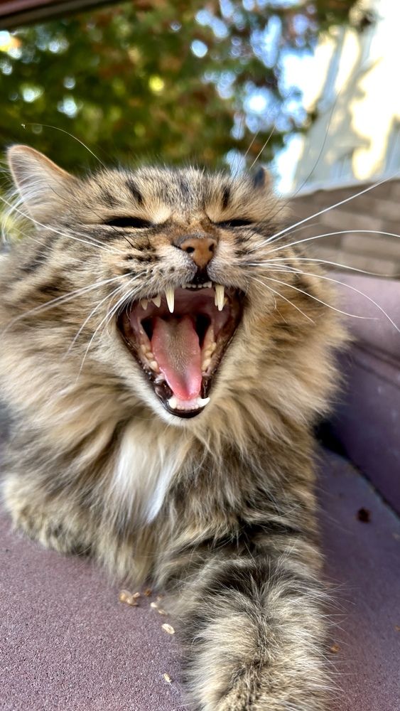 Photograph by Александра Чижова