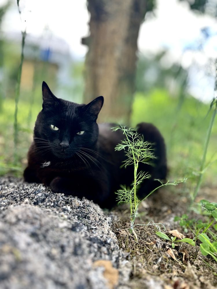 Фотография автора Irina Ginbert