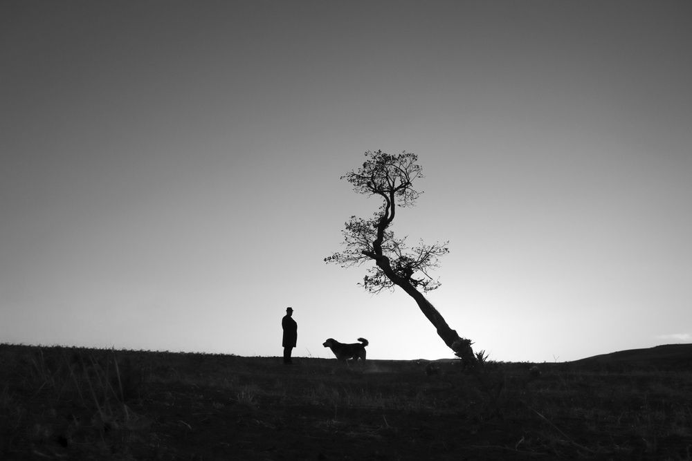 The Calm of the Last Ray