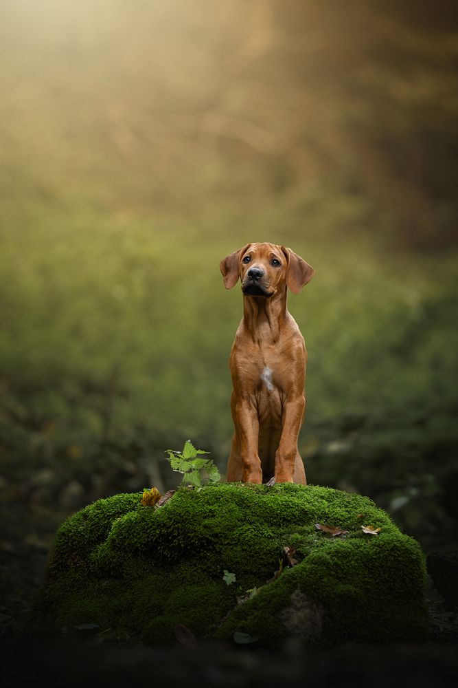 Photograph by Dorota Hnatová