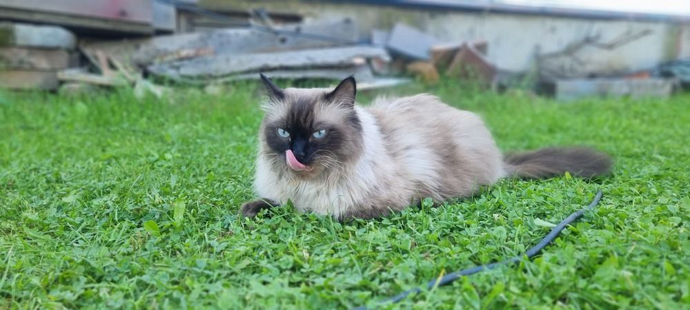 Фотография автора Марина Карасева