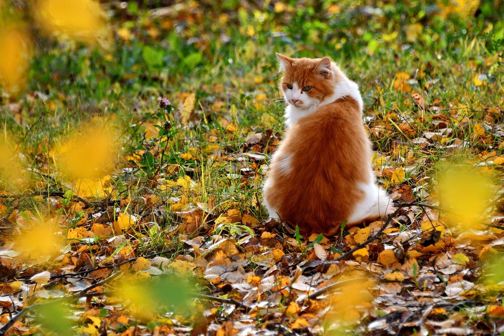 Photograph by Ксения Мироненко