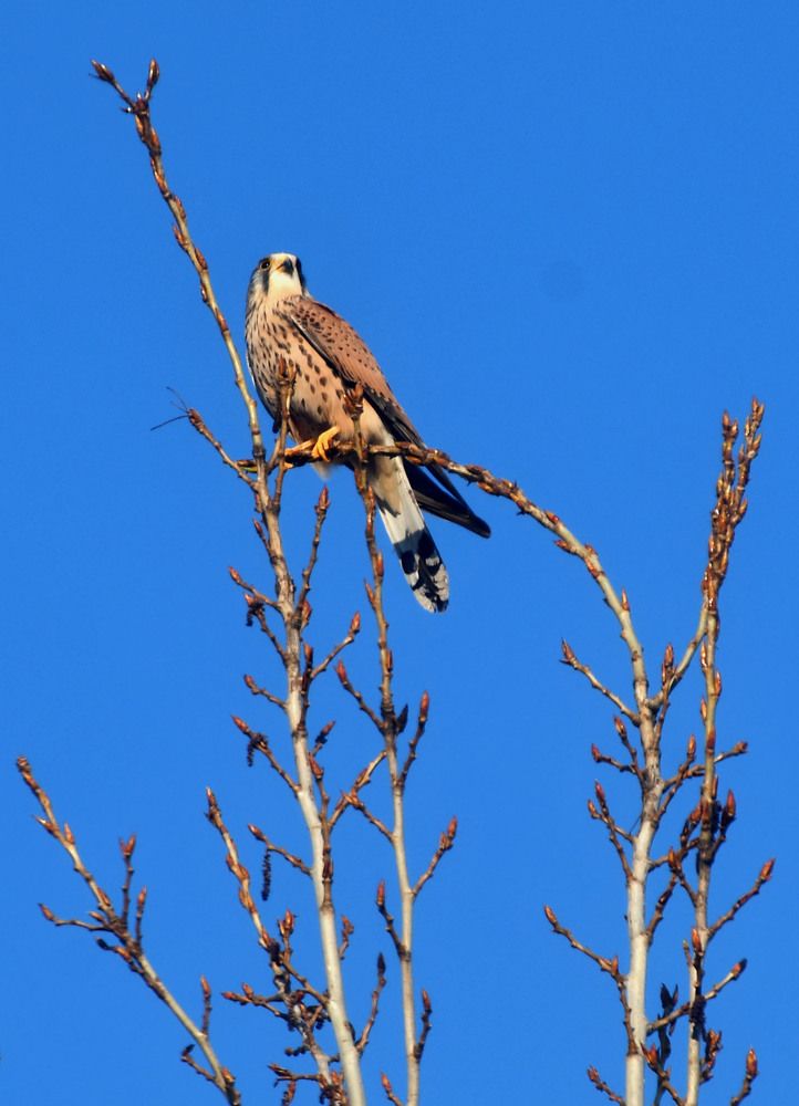 Photograph by Ксения Мироненко