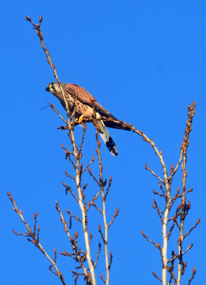 Photograph by Ксения Мироненко
