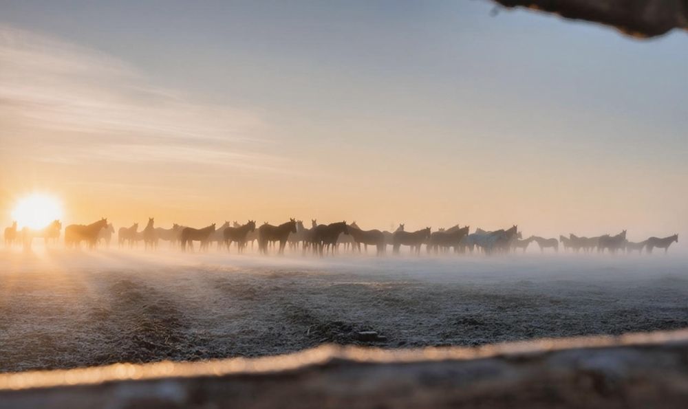 Невероятное утро