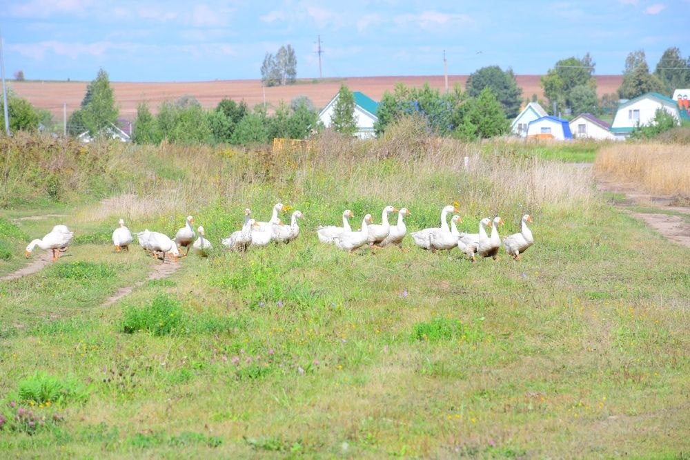 Photograph by Ксения Лебедева