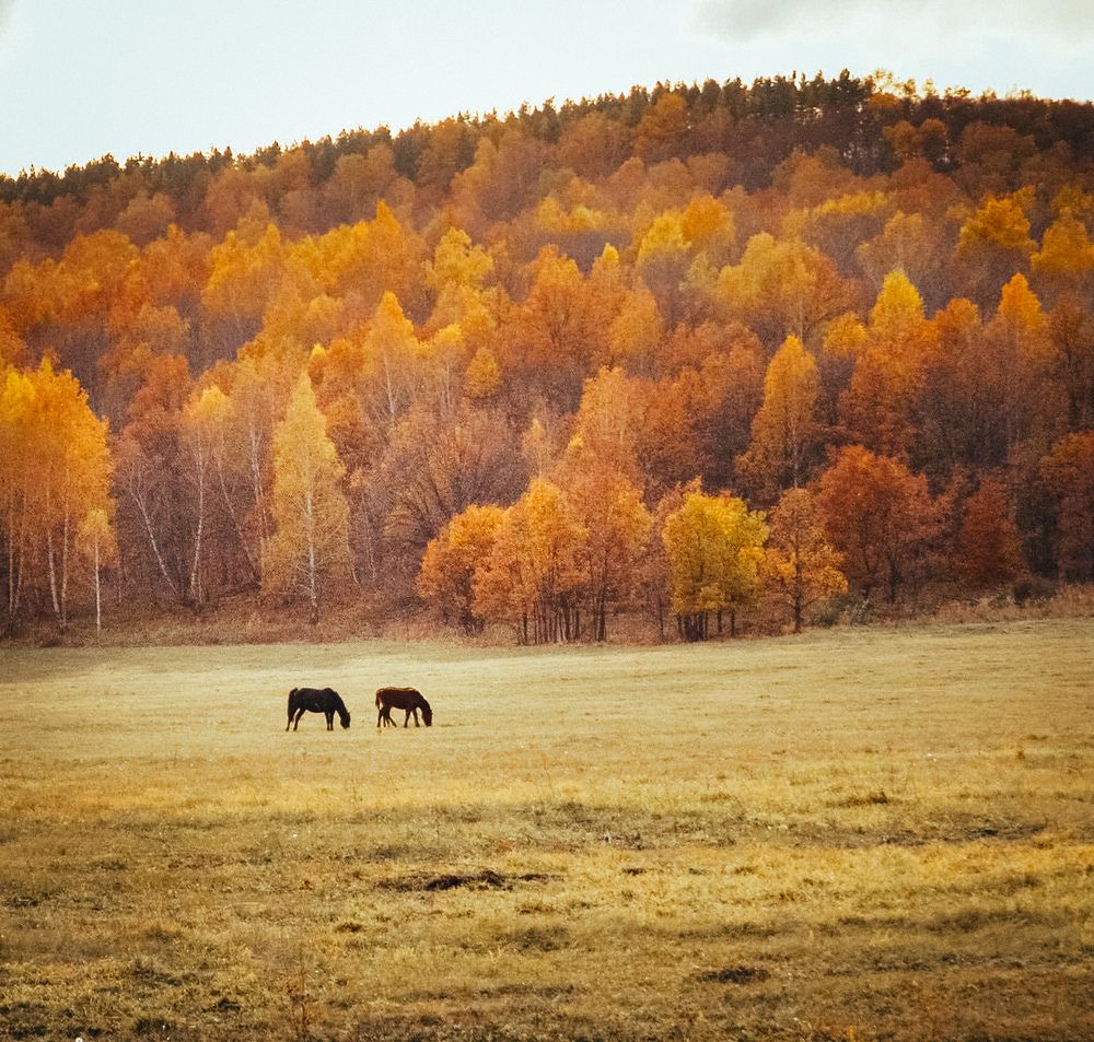 Photograph by Наталья Богаткина