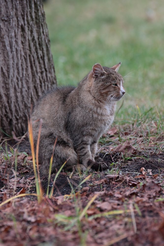 Умиротворение и покой