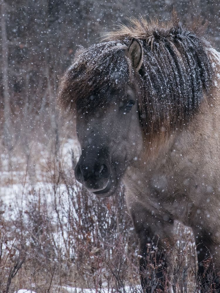 Photograph by Дмитрий Бочкарёв