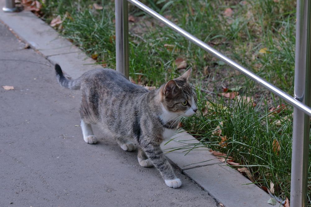 По своим делам