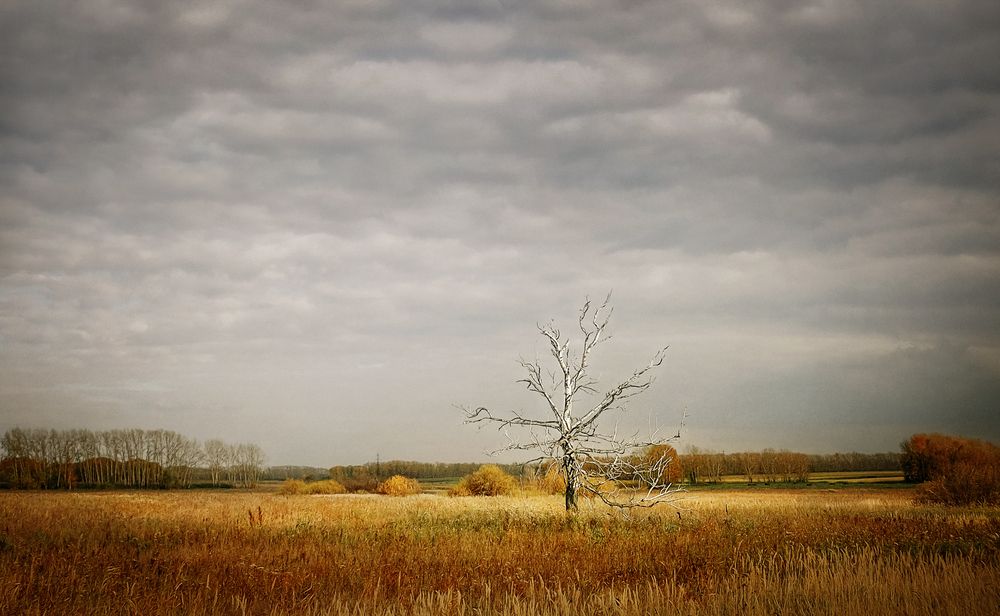 Photograph by Юлия Лушникова