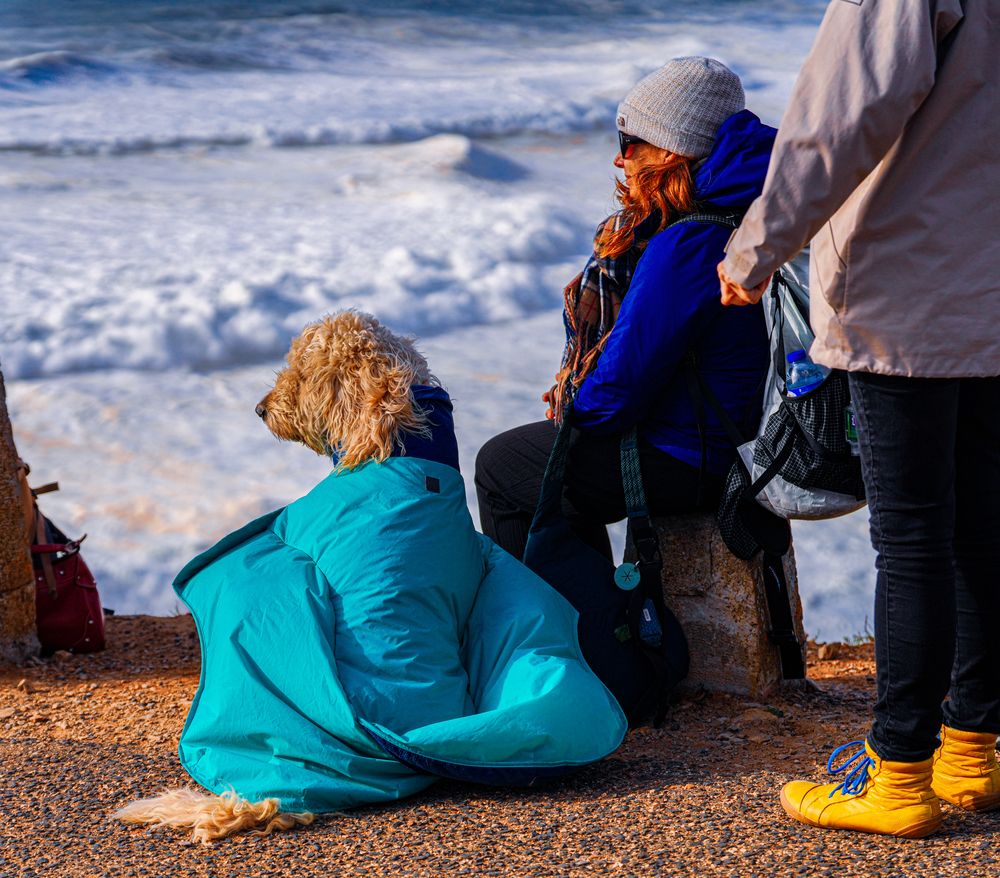 Фотография автора Сергей Леконцев