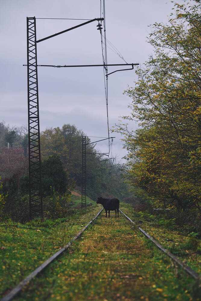 Photograph by Дмитрий Солодухин