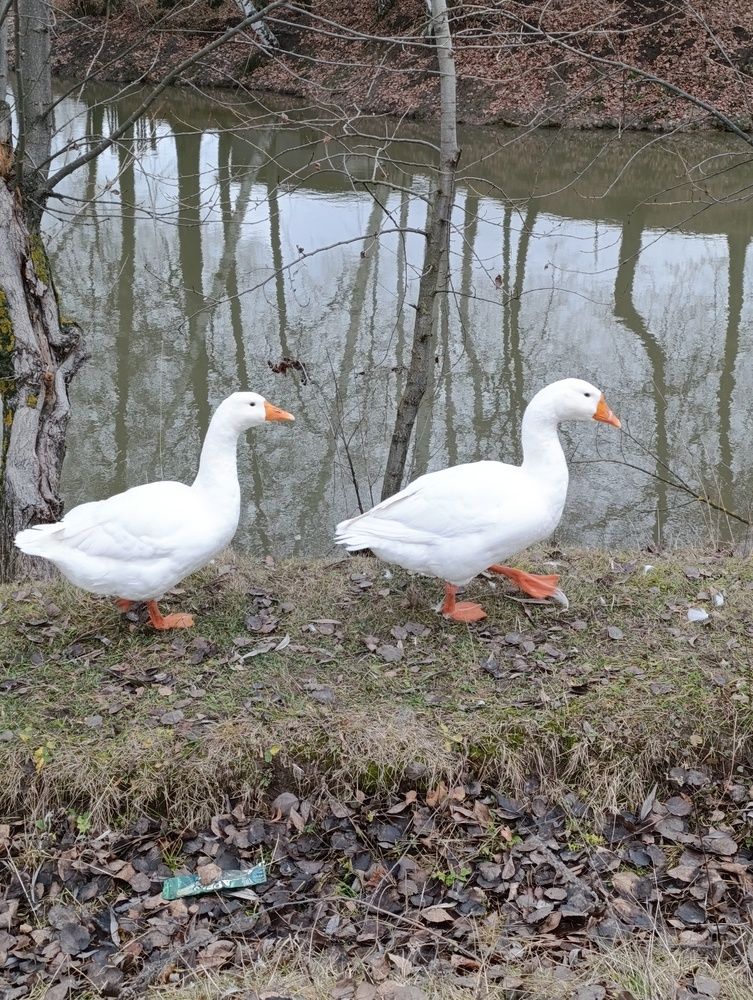 Photograph by Юрий Гордеев