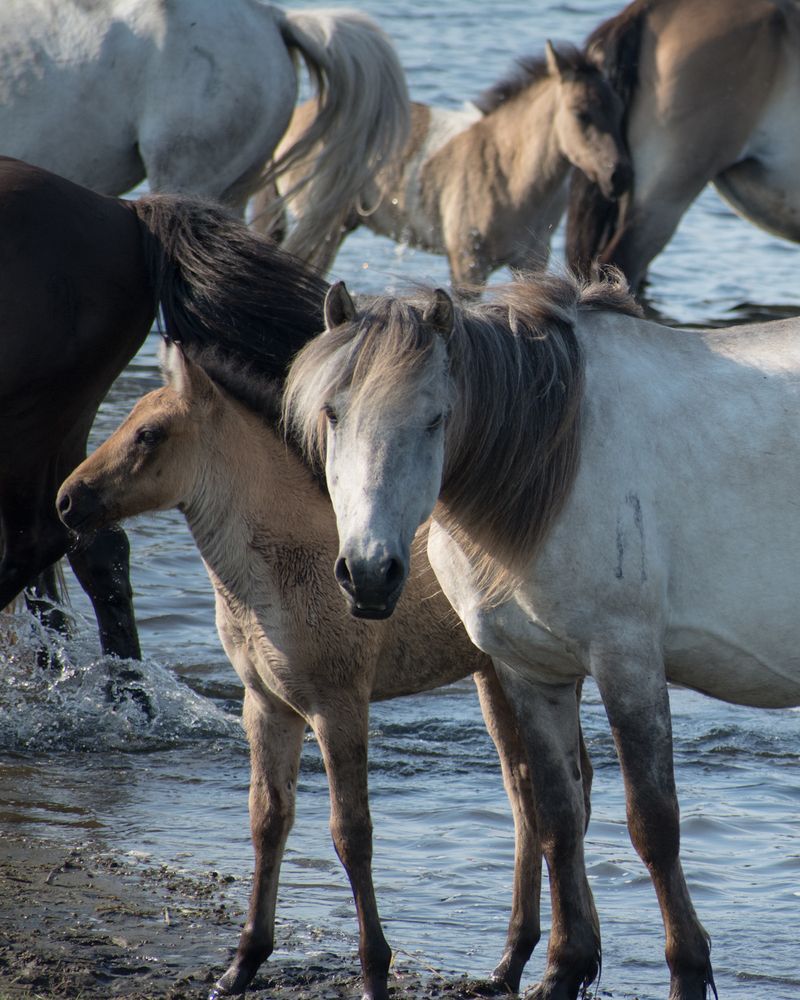 Photograph by Дмитрий Бочкарёв