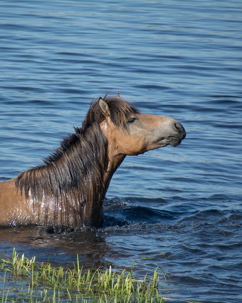 Photograph by Дмитрий Бочкарёв