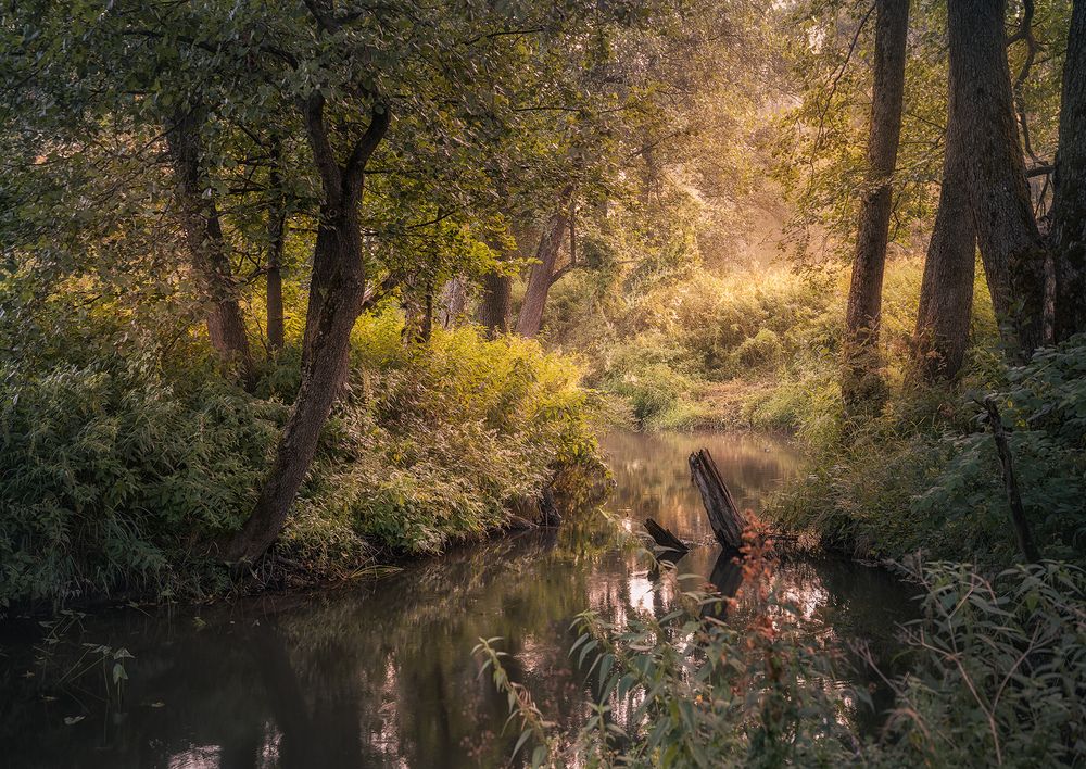 Photograph by Silyavin Nikita