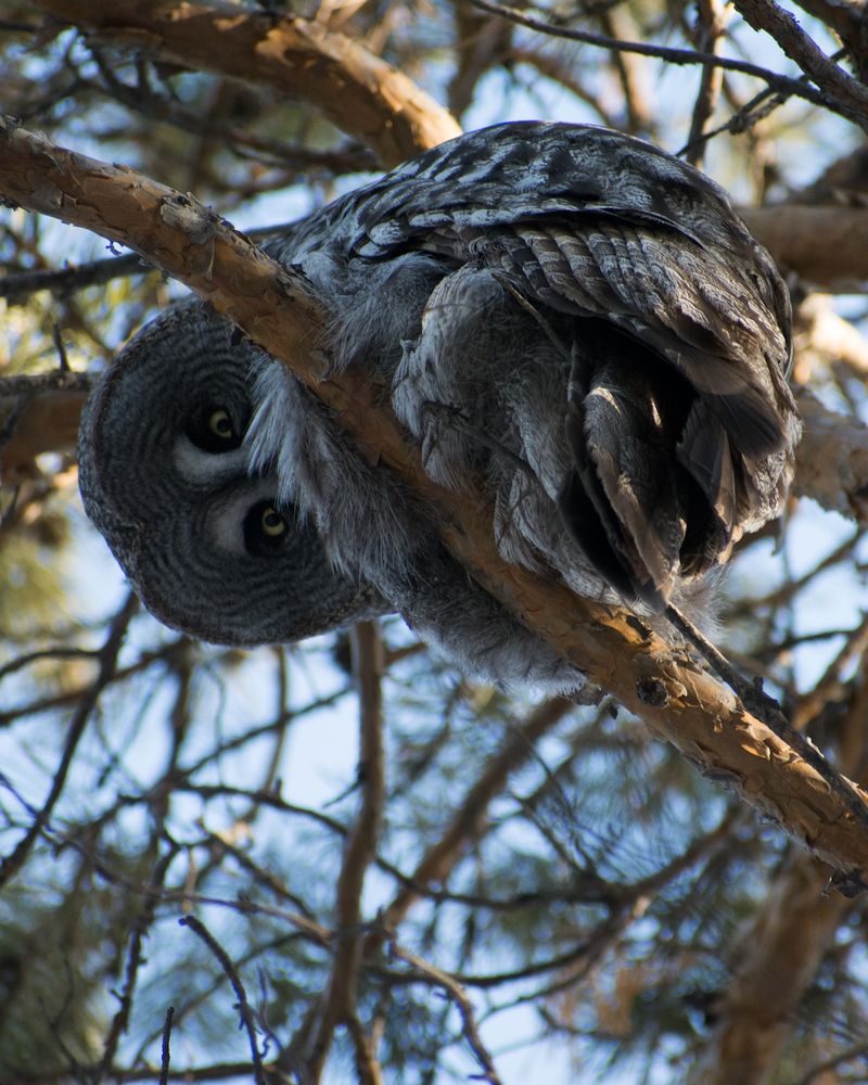 Photograph by Дмитрий Бочкарёв