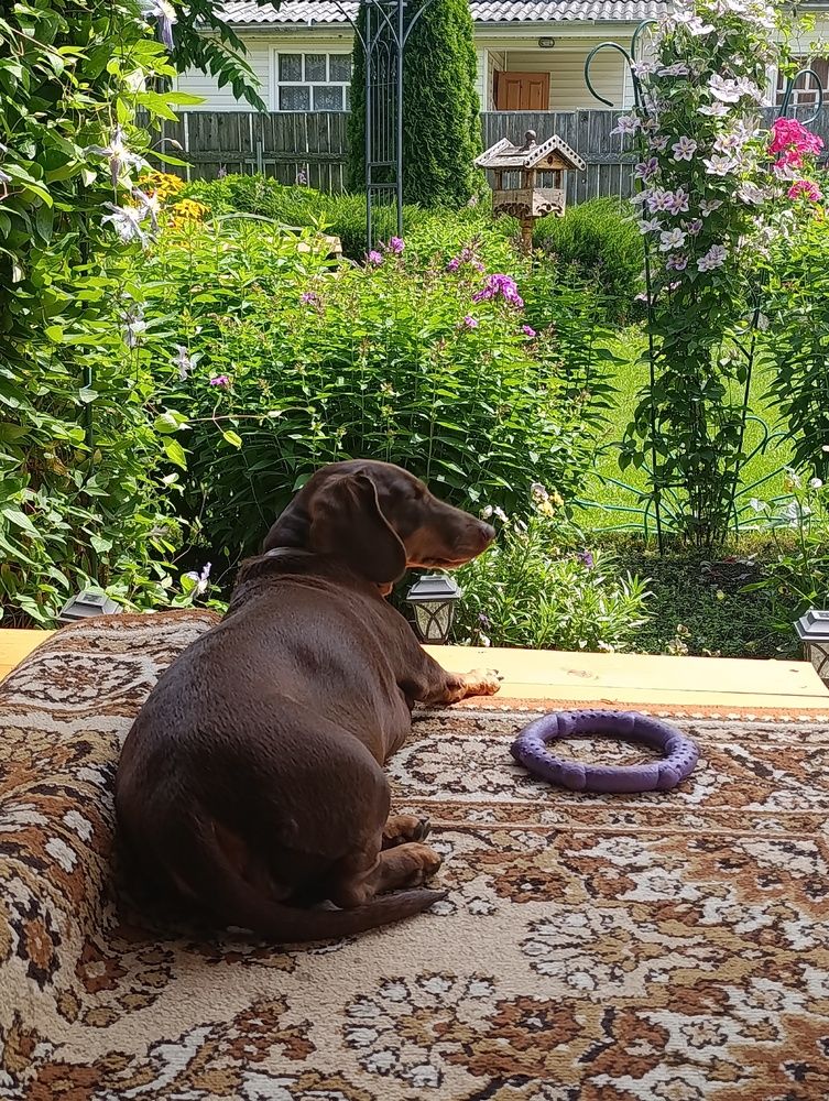 Photograph by Ольга Антохина