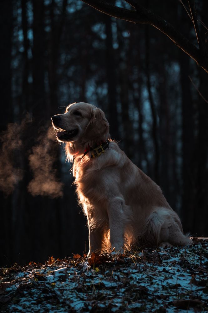 Photograph by Аверина Елена