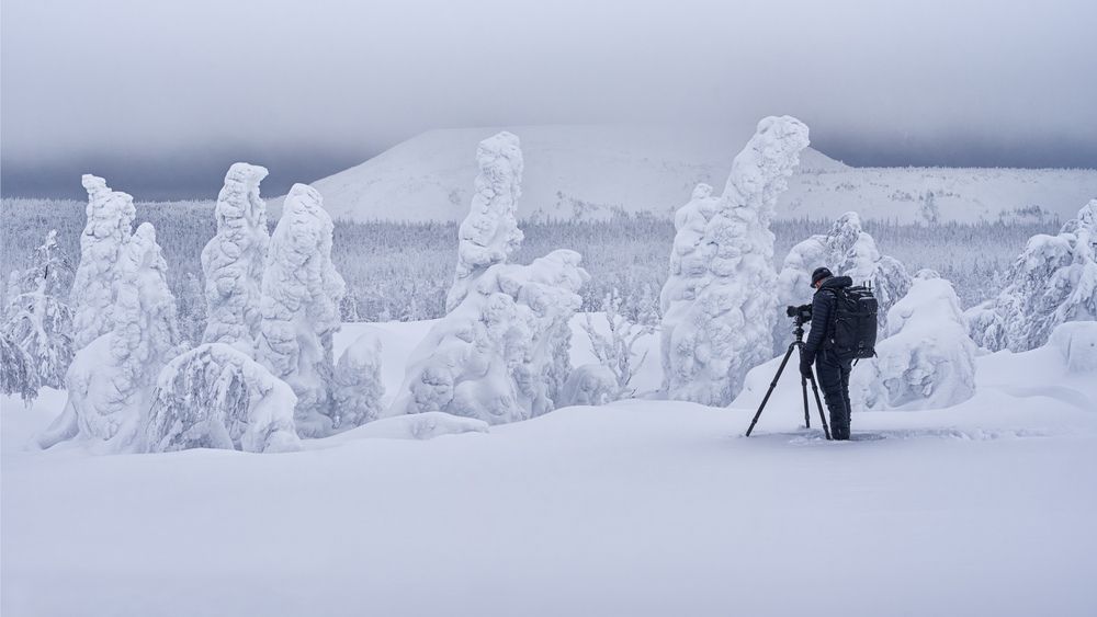 Photograph by Dmitry Medyancev