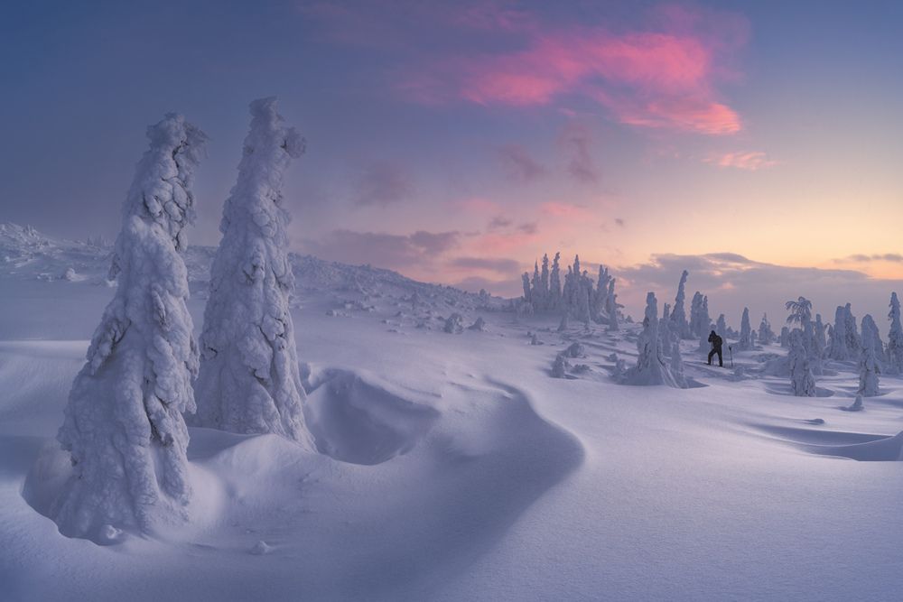 Photograph by Dmitry Medyancev