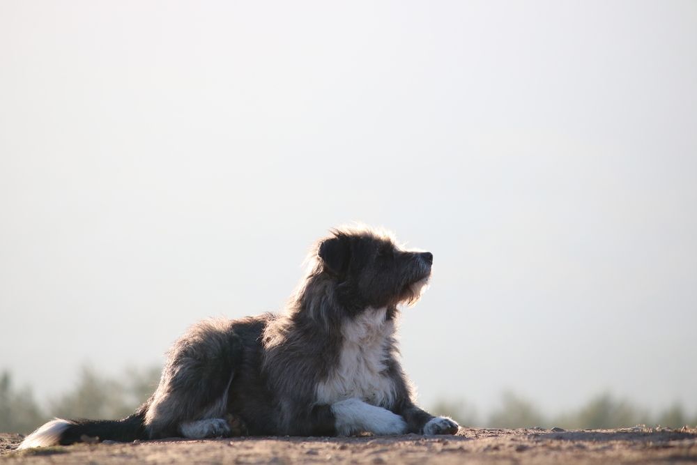 Photograph by Vania Tonova