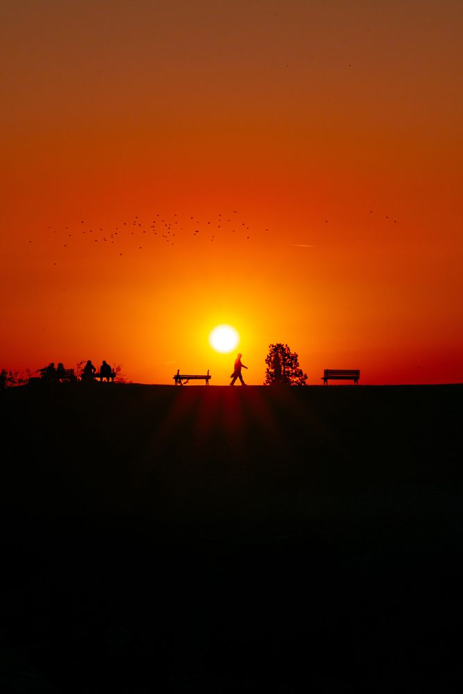 Photograph by Diony Alexander Sánchez Estevez