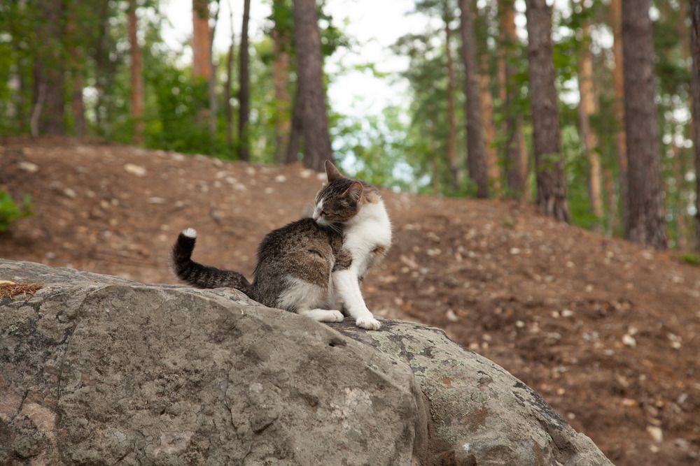 Photograph by Сергей Демидов