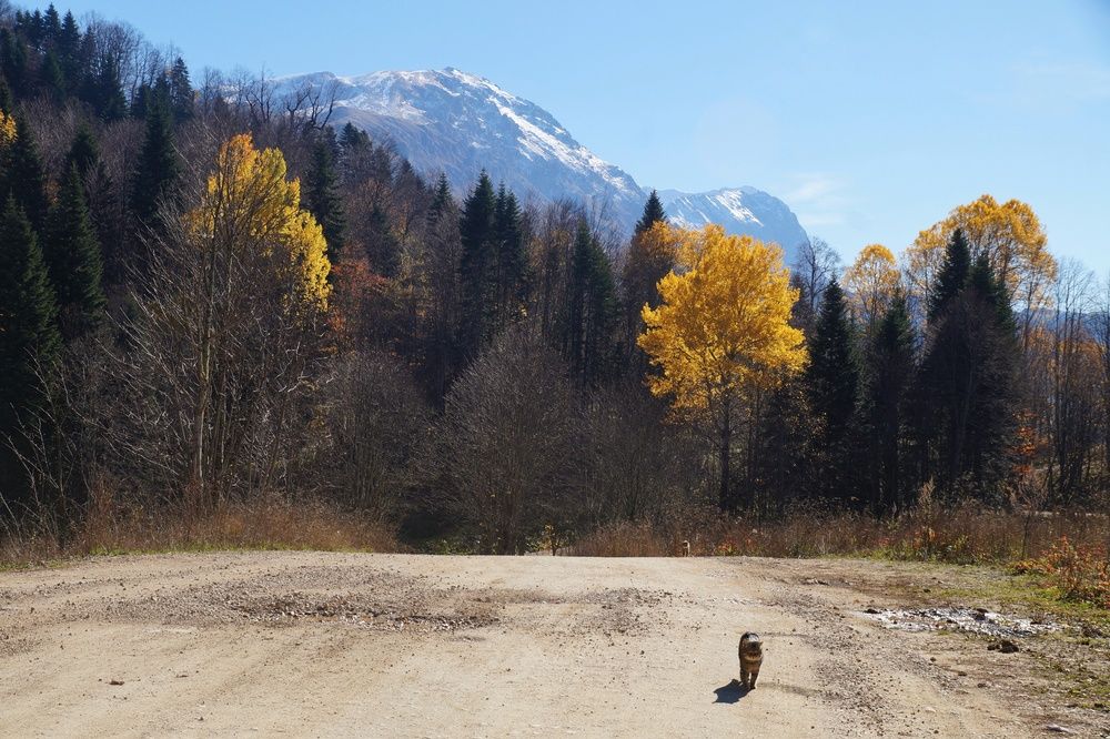 Фотография автора Маргарита Тетёркина