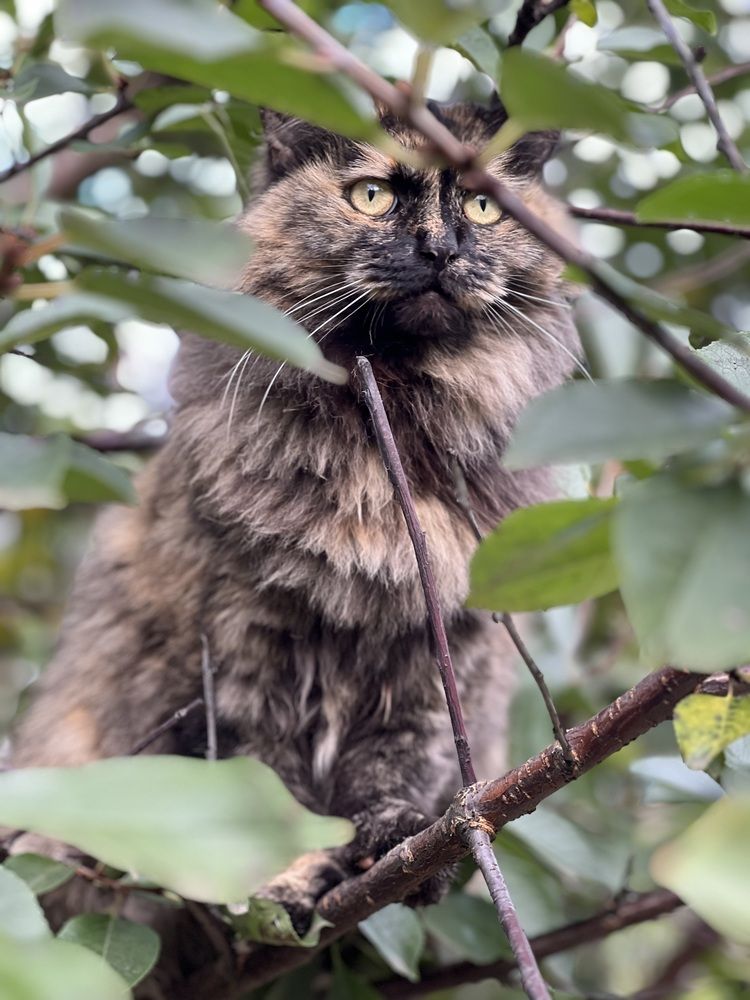 Photograph by Kira Ko