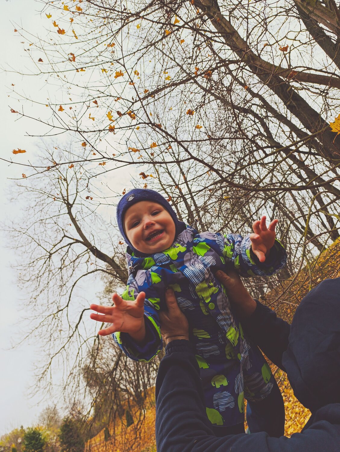 Photo #12792701
