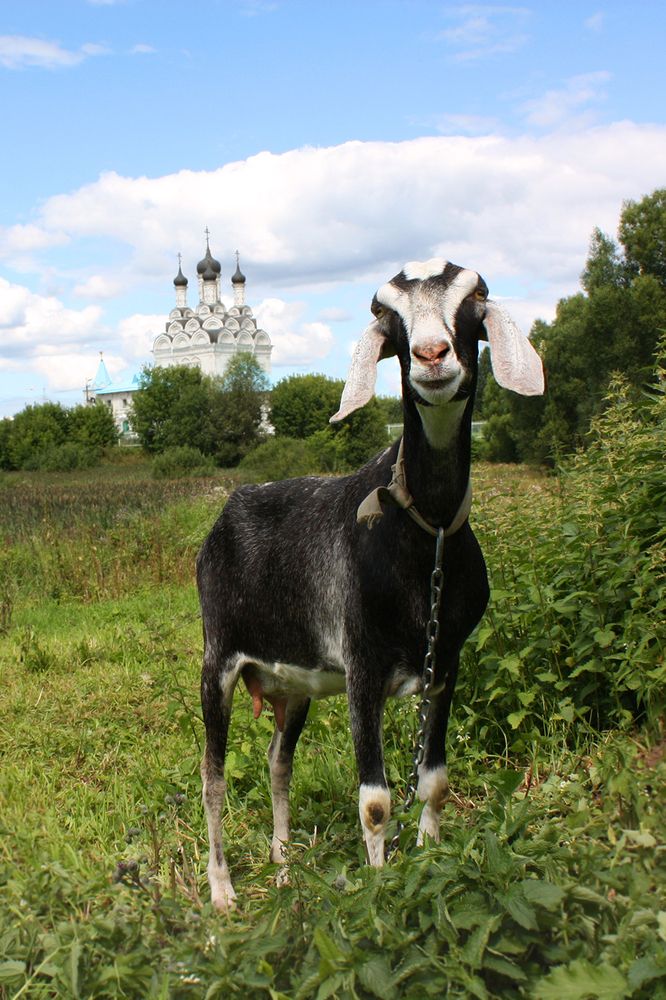 Photograph by Лилия Голд