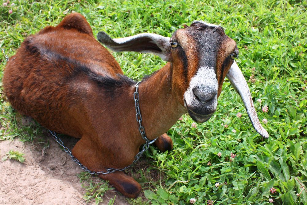 Photograph by Лилия Голд