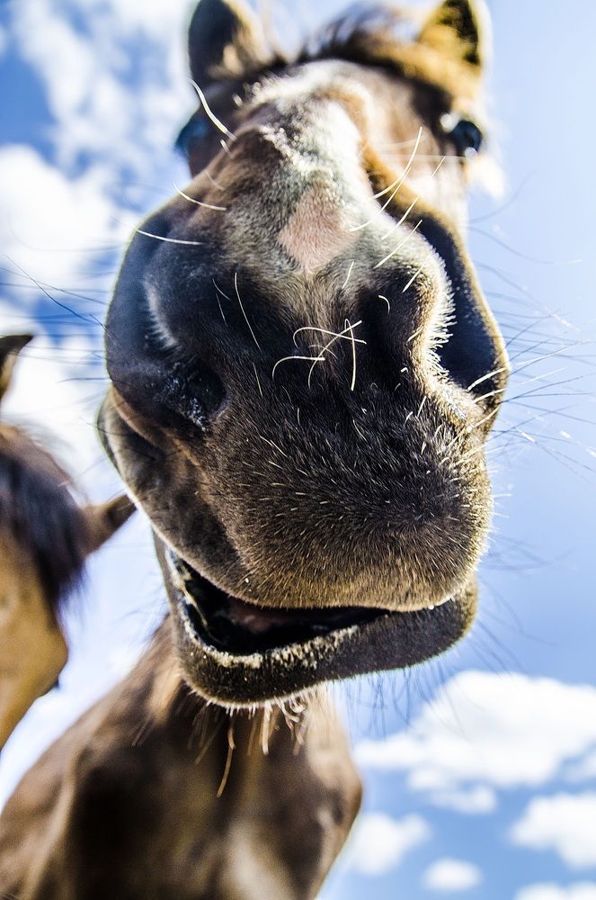 Фотография автора Александр Высотских