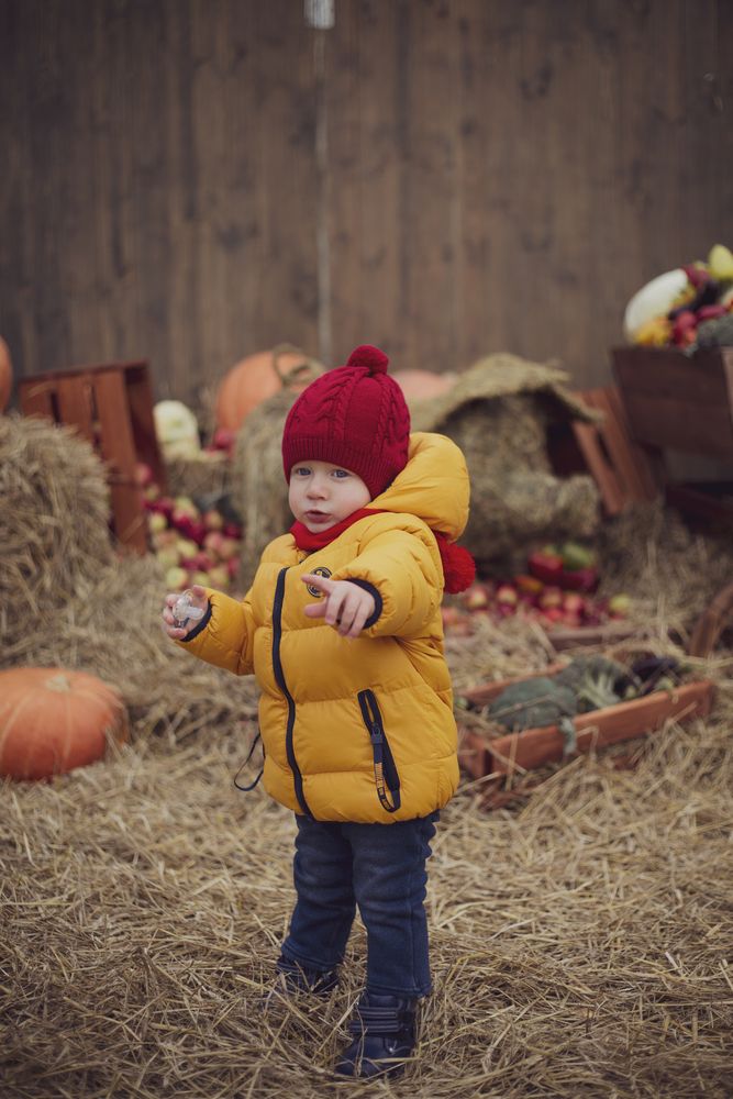 Фотография автора Василиса Новикова