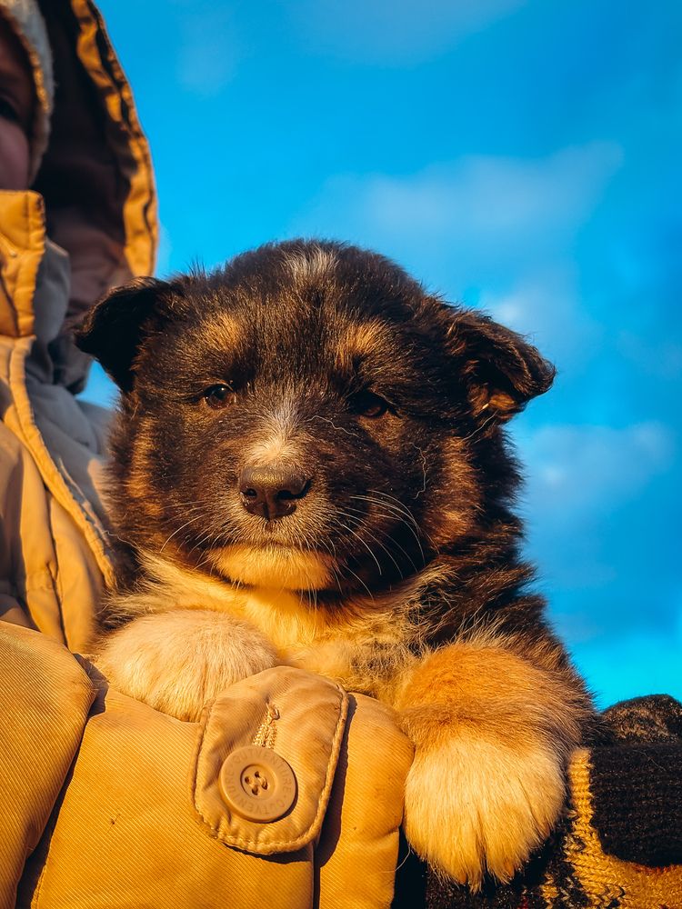 Photograph by Алёна Горошко