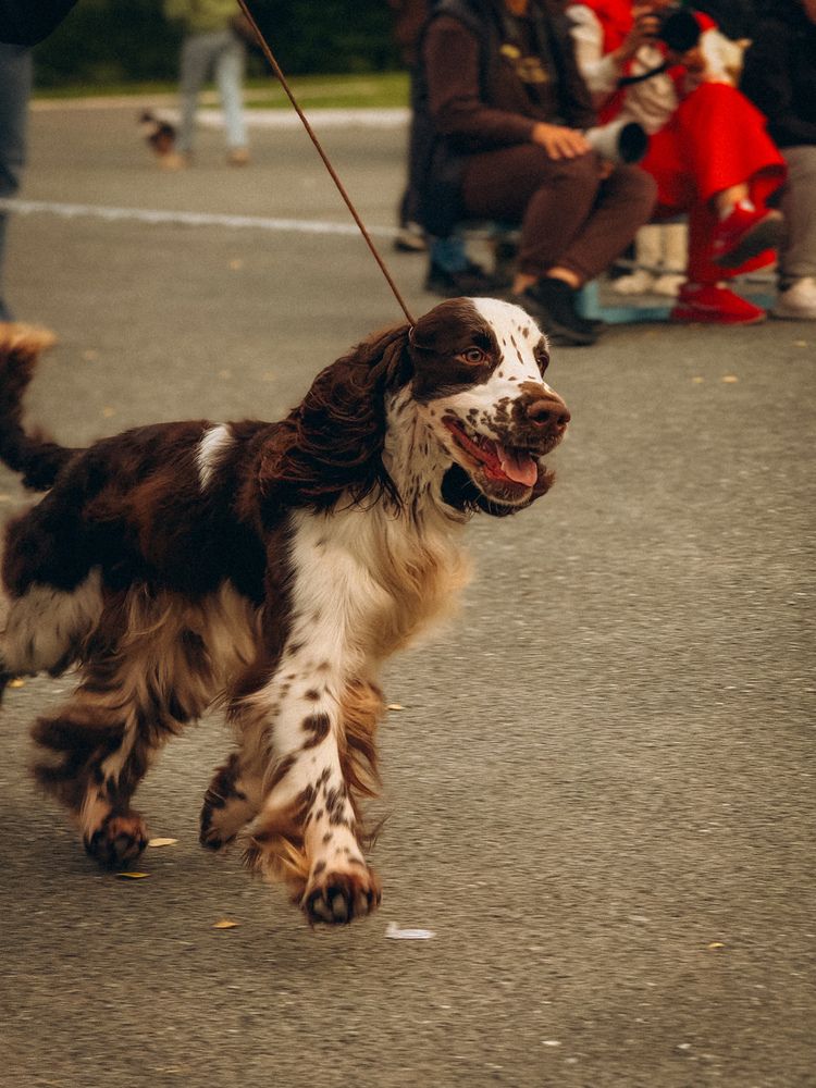 Photograph by Алёна Горошко