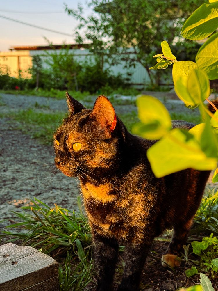 Photograph by Алёна Горошко